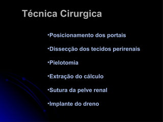 Técnica Cirurgica  Posicionamento dos portais Dissecção dos tecidos perirenais Pielotomia Extração do cálculo Sutura da pelve renal Implante do dreno 