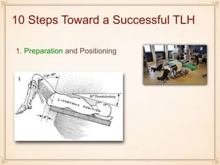 10 Steps Toward a Successful TLH
1. Preparation and Positioning
 