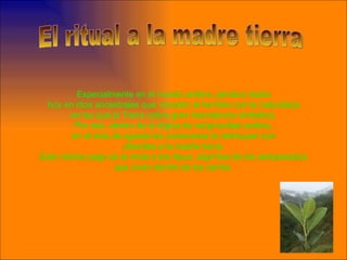 Especialmente en el mundo andino, perdura hasta hoy en ritos ancestrales que vinculan al hombre con la naturaleza en los que la Tierra cobra gran importancia simbólica. Por eso, dentro de la lógica de reciprocidad andina, en el mes de agosto los comuneros le retribuyen con ofrendas a la madre tierra. Este mismo pago se le rinde a los Apus, espíritus de los antepasados que viven dentro de los cerros. El ritual a la madre tierra 