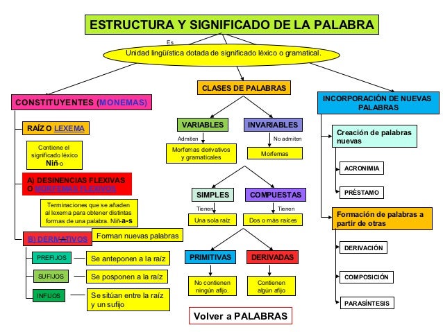 La palabra y sus constituyentes 3º E.S.O