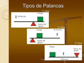 Tipos de Palancas
        1ª clase




                   2ª clase




                              3ª clase
 