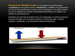 • PALANCA DE TERCERA CLASE: En la palanca de tercera clase,
la potencia se encuentra entre la resistencia y el fulcro. Se caracteriza
en que la fuerza aplicada es mayor que la resultante; y se utiliza cuando
lo que se requiere es ampliar la velocidad transmitida a un objeto o la
distancia recorrida por él.
• Ejemplos de este tipo de palanca son el quitagrapas, la caña de pescar y
la pinza de cejas; y en el cuerpo humano, el conjunto codo - bíceps
braquial - antebrazo, y la articulación temporomandibular.
 