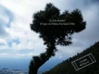 “La isla Bonita”
(Viaje a la Palma Navidad 2011)
 