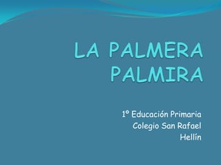 1º Educación Primaria
   Colegio San Rafael
                Hellín
 