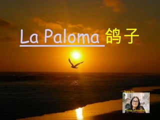 　 La Paloma鸽子 Sung by Nana Mouskouri 