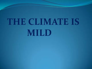 THE CLIMATE IS
   MILD
 