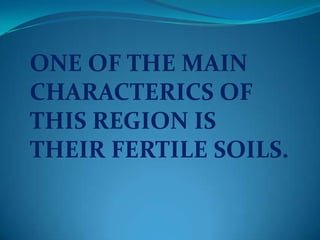 ONE OF THE MAIN
CHARACTERICS OF
THIS REGION IS
THEIR FERTILE SOILS.
 