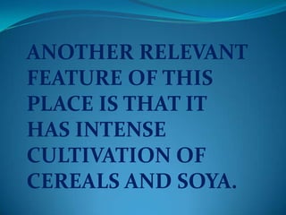 ANOTHER RELEVANT
FEATURE OF THIS
PLACE IS THAT IT
HAS INTENSE
CULTIVATION OF
CEREALS AND SOYA.
 
