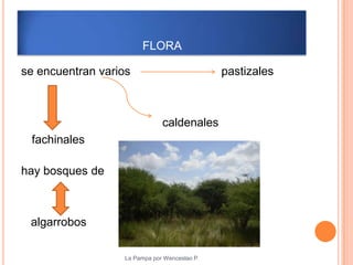 FLORA

se encuentran varios                          pastizales



                              caldenales
 fachinales

hay bosques de



 algarrobos

                  La Pampa por Wenceslao P.
 