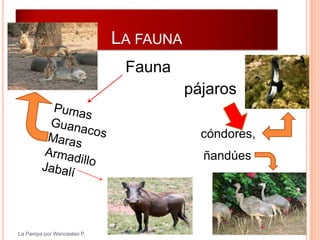 LA FAUNA
                             Fauna
                                       pájaros

                                         cóndores,
                                         ñandúes




La Pampa por Wenceslao P.
 