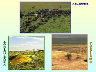 GANADERÍA TURISMO AGRICULTURA 