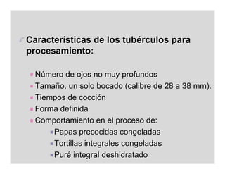 Características de los tubérculos para
procesamiento:

  Número de ojos no muy profundos
  Tamaño, un solo bocado (calibre de 28 a 38 mm).
  Tiempos de cocción
  Forma definida
  Comportamiento en el proceso de:
      Papas precocidas congeladas
      Tortillas integrales congeladas
      Puré integral deshidratado
 