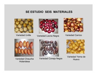SE ESTUDIO SEIS MATERIALES




Variedad Uvilla    Variedad Leona Negra      Variedad Carrizo




                                              Variedad Yema de
Variedad Chaucha     Variedad Coneja Negra          Huevo
    Holandesa
 