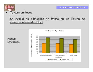 CARACTERIZACIÓN FÍSICA


•     Textura en fresco

      Se evaluó en tubérculos en fresco en un Equipo de
      ensayos universales Lloyd.




    Perfil de
    penetración
 