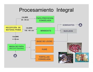 Procesamiento Integral
                 CALIBRE
                                     PAPA PRECOCIDA
                28 – 38 mm
                                       CONGELADA

                                                      SOBRANTES   A
RECEPCIÓN DE           CALIBRE
MATERIA PRIMA         >38 - <45 mm      MINIBOATS     NUCLEOS

     CALIBRE
     >> 38 mm
                                     BASE DE LOCRO

   MASA DE PAPA
  (INCLUYE CÁSCARA)
                                         PURÉ


       A                              TORTILLAS
                                      CONGELADA
 