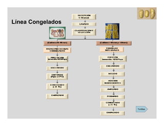 Línea Congelados




                   Tortillas
 