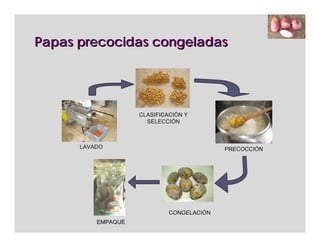 Papas precocidas congeladas




                    CLASIFICACIÓN Y
                      SELECCIÓN



      LAVADO                               PRECOCCIÓN




                             CONGELACIÓN
          EMPAQUE
 
