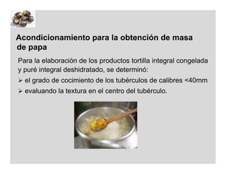 Acondicionamiento para la obtención de masa
de papa
Para la elaboración de los productos tortilla integral congelada
y puré integral deshidratado, se determinó:
 el grado de cocimiento de los tubérculos de calibres <40mm
 evaluando la textura en el centro del tubérculo.
 