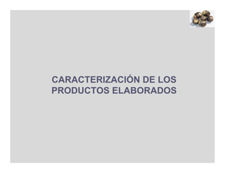 CARACTERIZACIÓN DE LOS
PRODUCTOS ELABORADOS
 