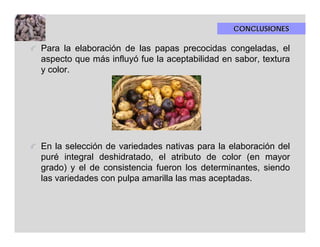 CONCLUSIONES

Para la elaboración de las papas precocidas congeladas, el
aspecto que más influyó fue la aceptabilidad en sabor, textura
y color.




En la selección de variedades nativas para la elaboración del
puré integral deshidratado, el atributo de color (en mayor
grado) y el de consistencia fueron los determinantes, siendo
las variedades con pulpa amarilla las mas aceptadas.
 