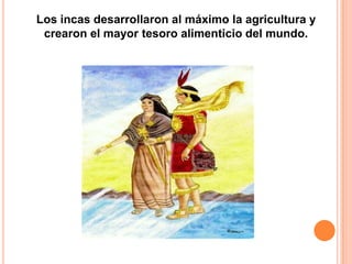 Los incas desarrollaron al máximo la agricultura y
crearon el mayor tesoro alimenticio del mundo.
 