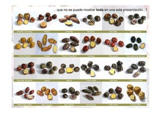 …que no se puede mostrar toda en una sola presentación...! 
 