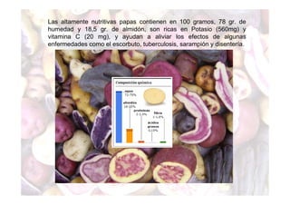 Las altamente nutritivas papas contienen en 100 gramos, 78 gr. de 
humedad y 18,5 gr. de almidón, son ricas en Potasio (560mg) y 
vitamina C (20 mg), y ayudan a aliviar los efectos de algunas 
enfermedades como el escorbuto, tuberculosis, sarampión y disentería. 
 