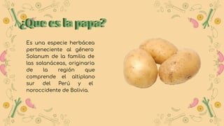 ¿Que es la papa?
Es una especie herbácea
perteneciente al género
Solanum de la familia de
las solanáceas, originaria
de la región que
comprende el altiplano
sur del Perú y el
noroccidente de Bolivia.
¿Que es la papa?
 