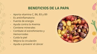 BENEFICIOS DE LA PAPA
- Aporta vitamina C, B6, B3 y B9
- Es antiinﬂamatorio
- Fuente de energía
- Ayuda contra la Anemia
- Contiene minerales
- Combate el estreñimiento y
Hemorroides
- Cuida la piel
- Mejora la circulación
- Ayuda a prevenir el cáncer
 