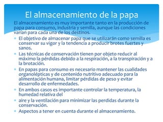 El almacenamiento es muy importante tanto en la producción de
papa para consumo, industria y semilla, aunque las condiciones
varían para cada una de los destinos.
 El objetivo de almacenar papa que se utilizarán como semilla es
conservar su vigor y la tendencia a producir brotes fuertes y
sanos.
 Las técnicas de conservación tienen por objeto reducir al
máximo la pérdidas debido a la respiración, a la transpiración y a
la brotación.
 En papas para consumo es necesario mantener las cualidades
organolépticas y de contenido nutritivo adecuado para la
alimentación humana, limitar pérdidas de peso y evitar
desarrollo de enfermedades.
 En ambos casos es importante controlar la temperatura, la
humedad relativa del
 aire y la ventilación para minimizar las perdidas durante la
conservación.
 Aspectos a tener en cuenta durante el almacenamiento.
El almacenamiento de la papa
 
