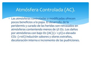 Las atmósferas controladas o modificadas ofrecen
pocos beneficios a la papa. El desarrollo de la
peridermis y curado de las heridas son retrasados en
atmósferas conteniendo menos de 5% O2. Los daños
por atmósferas con bajo O2 (AC) (< 1.5%) o elevado
CO2 (>10%) inducirán sabores y olores extraños,
decoloración interna e incremento de las pudriciones.
Atmósfera Controlada (AC).
 