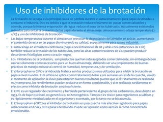 La brotación de la papa es la principal causa de pérdida durante el almacenamiento para papas destinadas a
consumo e industria. Esto es debido a que la brotación reduce el número de papas comercializables y
además, porque la intensa evaporación de agua reduce el peso de los tubérculos. Actualmente existen dos
métodos para evitar la brotación de las papas durante el almacenaje: almacenamiento a baja temperatura (2-
4 °C) y uso de inhibidores de brotación.
 Las bajas temperaturas durante el almacenaje provocan la degradación del almidón en azúcar, aumentando
el contenido de esta en las papas disminuyendo su calidad, especialmente para su uso industrial.
 El almacenaje en atmósfera controlada (bajas concentraciones de 02 y altas concentraciones de C02)
también reduce la brotación de los tubérculos, pero las altas concentraciones de C02 pueden producir
desordenes fisiológicos como corazón negro.
 Los inhibidores de la brotación, son productos que han sido aceptados comercialmente, sin embargo deben
usarse solamente como accesorios para un buen almacenaje, debiendo ser un complemento de buenas
prácticas de manejo en base al control de humedad, temperatura, y de ventilación.
 El chlorprophamo CIPC y la Hidracida Maleica son los productos mas utilizados para inhibir la brotación en
papa a nivel mundial. Esta última se aplica como tratamiento foliar 4 a 6 semanas antes de la cosecha, siendo
el momento de aplicación la clave para obtener buenos resultados puesto que si el tratamiento es realizado
muy temprano, los rendimientos pueden reducirse en forma considerable, y si es realizado tardíamente el
efecto como inhibidor de brotación será insuficiente.
 El CIPC es un regulador de crecimiento y herbicida perteneciente al grupo de los carbamatos, descubierto en
1953. Es de baja toxicidad, no genotóxico, no teratogénico. Tampoco es tóxico para organismos acuáticos y
es rápidamente metabolizado en el organismo y excretado, por lo tanto no se bioacumula.
 El Chlorpropham (CIPC) es el inhibidor de brotación en poscosecha más efectivo registrado para papas
almacenadas en USA y otros países del mundo. Puede ser aplicado como aerosol o como concentrado
emulsionable.
Uso de inhibidores de la brotación
 