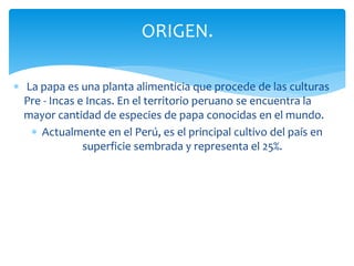  La papa es una planta alimenticia que procede de las culturas
Pre - Incas e Incas. En el territorio peruano se encuentra la
mayor cantidad de especies de papa conocidas en el mundo.
 Actualmente en el Perú, es el principal cultivo del país en
superficie sembrada y representa el 25%.
ORIGEN.
 