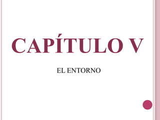 CAPÍTULO V
EL ENTORNO
 