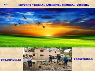 N° 5     ENTORNO / TIERRA / AMBIENTE / SIEMBRA / COSECHA




PROACTIVIDAD                                   PROSPERIDAD
 