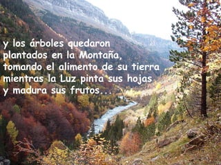 y los árboles quedaron  plantados en la Montaña,  tomando el alimento de su tierra  mientras la Luz pinta sus hojas  y madura sus frutos... 