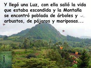 Y llegó una Luz, con ella salió la vida que estaba escondida y la Montaña se encontró poblada de árboles y arbustos, de pájaros y mariposas...  