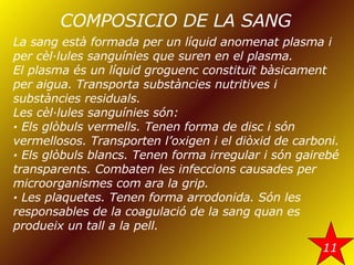 COMPOSICIO DE LA SANG La sang està formada per un líquid anomenat plasma i per cèl·lules sanguínies que suren en el plasma. El plasma és un líquid groguenc constituït bàsicament per aigua. Transporta substàncies nutritives i substàncies residuals. Les cèl·lules sanguínies són:  ·  Els   glòbuls vermells. Tenen forma de disc i són vermellosos. Transporten l’oxigen i el diòxid de carboni. ·  Els glòbuls blancs. Tenen forma irregular i són gairebé transparents. Combaten les infeccions causades per microorganismes com ara la grip. ·  Les   plaquetes. Tenen forma arrodonida. Són les responsables de la coagulació de la sang quan es produeix un tall a la pell. 11 