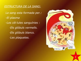ESTRUCTURA DE LA SANG: La sang esta formada per.: -El plasma -Les cèl·lules sanguínies : ·Els glòbuls vermells. ·Els glòbuls blancs. ·Les plaquetes. 6 