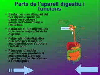 Parts de l'aparell digestiu i funcions Esòfag: és una altra part del tub digestiu que té les parets musculoses i condueix l’aliment cap a l’estomac. Estómac: el  tub digestiu on hi té lloc la major part de la digestió.  Fetge: glàndula digestiva que produeix la bilis, un suc digestiu, que s’aboca a l’intestí prim. Pàncrees: glàndula digestiva que produeix el suc pancreàtic, un suc digestiu que també s’aboca a l’intestí prim. Següent Torna 