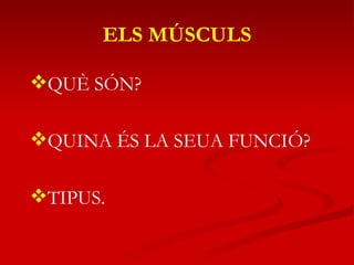 QUÈ SÓN? QUINA ÉS LA SEUA FUNCIÓ? TIPUS. ELS MÚSCULS 