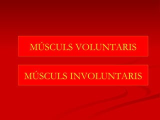 MÚSCULS INVOLUNTARIS MÚSCULS VOLUNTARIS 