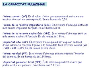 •Volum corrent (VC). Es el volum d'aire que normalment entra en una
inspiració o surt en una expiració. En els homes és 0,5 l.
•Volum de la reserva inspiratòria (VRI). És el volum d'aire que entra de
més en una inspiració forçada. En els homes és 3l.
•Volum de la reserva expiratòria (VRE). És el volum d'aire que surt de
més en una expiració forçada. En els homes és 1 litre.
•Capacitat vital (CV). És el volum d'aire que es pot expirar després
d'una inspiració forçada. Equival a la suma dels tres anterior volums (VC
+ VRI + VRE = CV). En els homes és 4,5 litres.
•Volum residual (VR). És el volum d'aire que sempre resta a l'interior
del pulmons. En els homes és de 1,5 litres.
•Capacitat pulmonar total (CPT). És la màxima quantitat d'aire que
poden acollir els pulmons. En el home són 6 litres.
LA CAPACITAT PULMONARLA CAPACITAT PULMONAR
 
