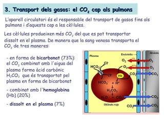 3. Transport dels gasos: el CO3. Transport dels gasos: el CO22 cap als pulmonscap als pulmons
L’aparell circulatori és el responsable del transport de gasos fins als
pulmons i d’aquests cap a les cèl·lules.
Les cèl·lules produeixen més CO2
del que es pot transportar
dissolt en el plasma. De manera que la sang venosa transporta el
CO2
de tres maneres:
- en forma de bicarbonat (73%):
el CO2
combinat amb l'aigua del
plasma forma àcid carbònic
H2CO3 que és transportat pel
plasma en forma de bicarbonat
- combinat amb l'hemoglobina
(Hb) (20%)
- dissolt en el plasma (7%)
 