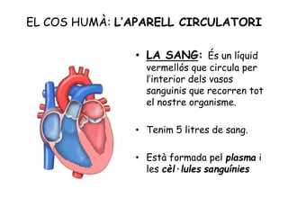 EL COS HUMÀ: L’APARELL CIRCULATORI
• LA SANG: És un líquid
vermellós que circula per
l’interior dels vasos
sanguinis que recorren tot
el nostre organisme.
• Tenim 5 litres de sang.
• Està formada pel plasma i
les cèl·lules sanguínies
 