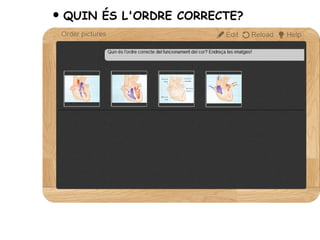 QUIN ÉS L'ORDRE CORRECTE?
 