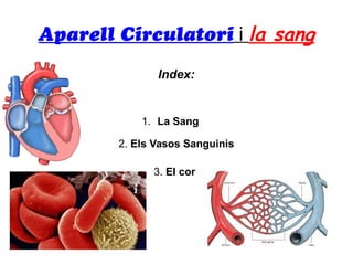 Aparell Circulatori i la sang
               Index:


            1. La Sang

        2. Els Vasos Sanguinis

              3. El cor
 