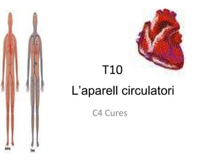 T10 C4 Cures  L’aparell circulatori 