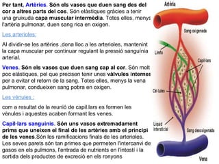 Per tant , Artèries .  Són els vasos que duen sang des del cor a altres parts del cos . Són elàstiques gràcies a tenir una gruixuda  capa muscular intermèdia . Totes elles, menys l'artèria pulmonar, duen sang rica en oxigen. Les arterioles: Al dividir-se les artèries ,dona lloc a les arterioles, mantenint la capa muscular per continuar regulant la pressió sanguínia arterial. Venes .  Són els vasos que duen sang cap al cor . Són molt poc elàstiques, pel que precisen tenir unes  vàlvules internes  per a evitar el retorn de la sang. Totes elles, menys la vena pulmonar, condueixen sang pobra en oxigen. Les vènules : com a resultat de la reunió de capil.lars es formen les vènules i aquestes acaben formant les venes.  Capil·lars sanguinis .  Són uns vasos extremadament prims que uneixen el final de les artèries amb el principi de les venes .Són les ramificacions finals de les arterioles. Les seves parets són tan primes que permeten l'intercanvi de gasos en els pulmons, l'entrada de nutrients en l'intestí i la sortida dels productes de excreció en els ronyons 