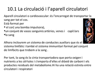 10.1 La circulació i l’aparell circulatori Aparell circulatori o cardiovascular: és l’encarregat de transportar la sang per tot el cos. Està format per el cor( una bomba impulsora),  un conjunt de vasos sanguinis:artèries, venes i  capil.lars  la sang Alhora inclourem un sistema de conductes auxiliars que és el sistema limfàtic i també el sistema immunitari format pel conjunt de limfòcits que trobem a la sang . Per tant, la sang és la cinta transportadora que porta oxigen i nutrients a les cèl·lules i s’emporta d’elles el diòxid de carboni i els productes residuals del metabolisme.Hi ha una relació estreta entre circulatori i respiratori 